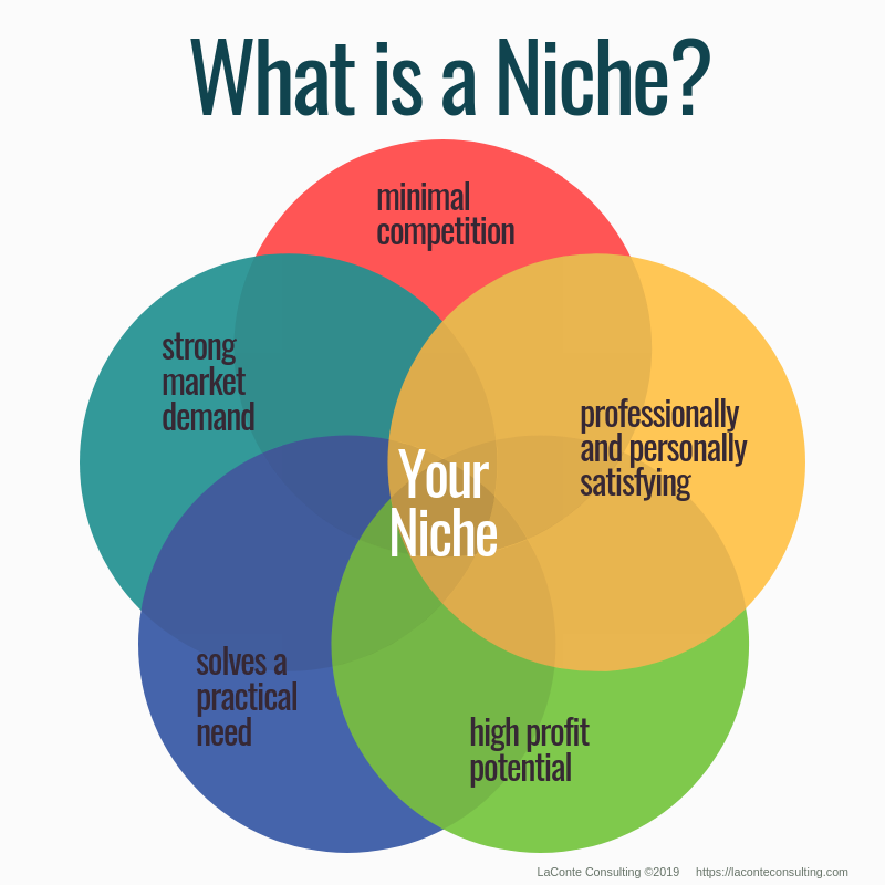 What-is-a-Niche-Plexxie